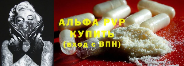 spice Каменногорск