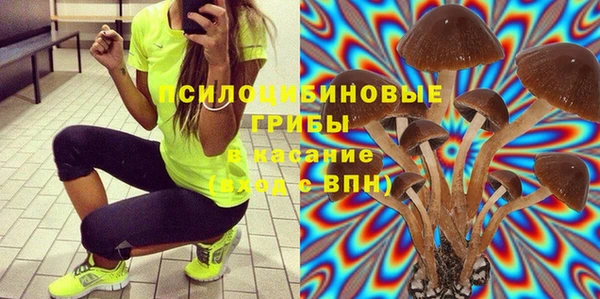 бошки Дмитриев