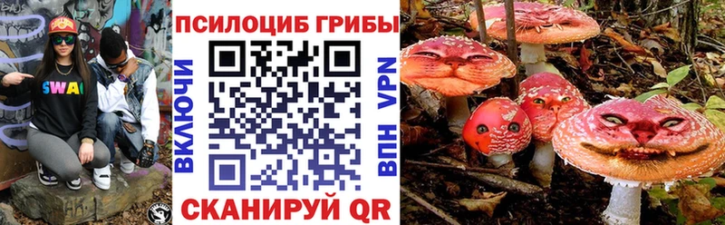 Псилоцибиновые грибы прущие грибы  Дюртюли 