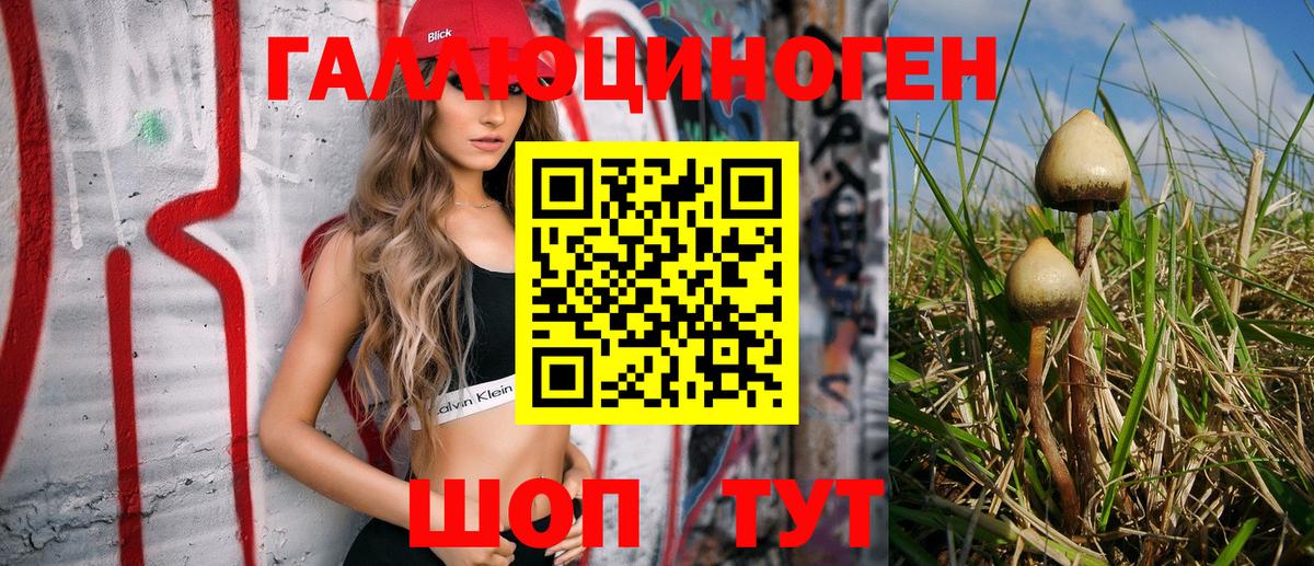 Псилоцибиновые грибы GOLDEN TEACHER  Вход с VPN  Дюртюли 